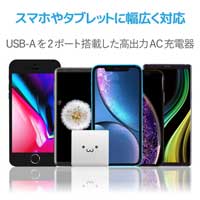 AC充電器 USB(A)×2 おまかせ充電 4.8A 白F_選択画像02