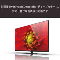 HDMI-microHDMIケーブル 3m DH-HD14EU30BK_選択画像04