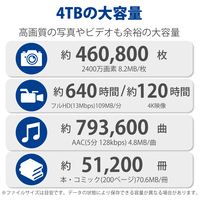 外付HDD d2 Professional 4TB STHA4000800_選択画像03