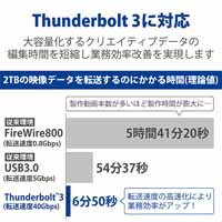 1big Dock SSD Pro 4TB STHW4000800_選択画像03