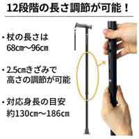 バンブーステッキワイド　ブラック_選択画像02