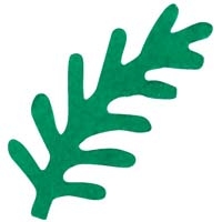 ファーン　スタンダードパンチ4110695