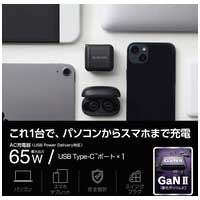 Type-C充電器 PD 65W PPS 1ポート ブラック_選択画像02