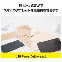 Type-C充電器 PD 30W PPS 折りたたみ_選択画像03