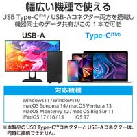 USBメモリ 128GB Type-C/A MF-TPC3128GBK_選択画像04