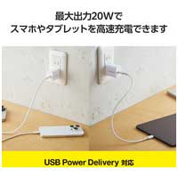 Type-C充電器 20W 折りたたみ ホワイト_選択画像03
