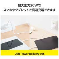 Type-C充電器 ケーブル付属 2.5m ホワイト_選択画像03