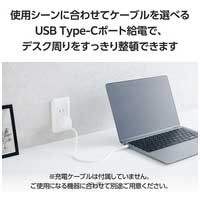 Type-C充電器 折りたたみ 軽量 ホワイト_選択画像04