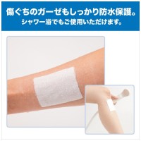 カテリープラスロールCPSR1005_選択画像02