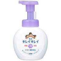 キレイキレイ泡ハンドソープ250mL Fソープ
