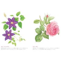 大人の塗り絵スタートブック美しい花と風景_選択画像03