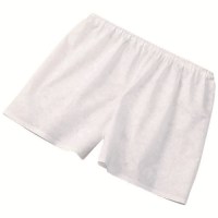 不織布トランクス2枚入
