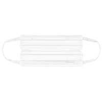 ナノエアーマスク ふつう 30枚 W　PK-NI30L_選択画像02