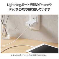 USB A-Lightningケーブル 12W 2m_選択画像04