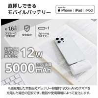 直挿しモバイルバッテリー 5000mAh WH_選択画像02
