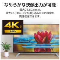 DisplayPort 1.2ケーブル ECCAC-DP1220BK_選択画像04