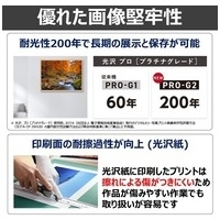 インクジェットプリンター PRO-G2_選択画像03