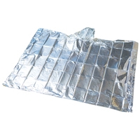 緊急簡易アルミポンチョ(静音タイプ) 5996_選択画像02