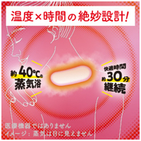 蒸気めぐる首シートグッドナイト無香料5P_選択画像03