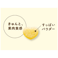 ※ピュレグミプチ 三角レモン24袋入_選択画像03