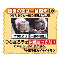 つちたろう_選択画像02