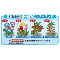 つちたろう_選択画像03