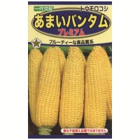 あまいバンタム　プレミアム4640