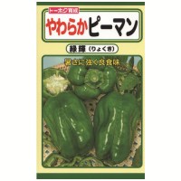 やわらかピーマン3901