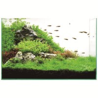 アクアコンパクト2005水槽セット721573_選択画像04