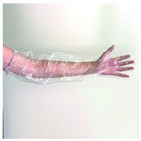 ポリエチレン 使い捨てロング手袋 50枚_選択画像02