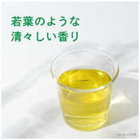 ※おーいお茶 PURE GREEN 2L 6本_選択画像02