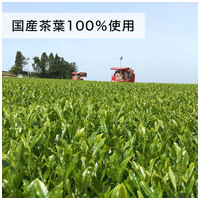 ※おーいお茶 PURE GREEN 2L 6本_選択画像03