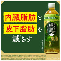 ※綾鷹 濃い緑茶PET 525mL 24本_選択画像03