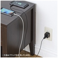 USB充電器 2ポート・合計2.4A ACA-IP44W_選択画像03