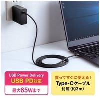 USB PD 充電器 PD65W ACA-PD91BK_選択画像02