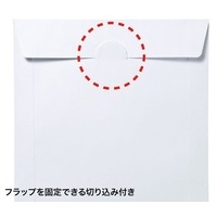 DVD・CDスリーブケース 100枚 FCD-PS100NWW_選択画像04