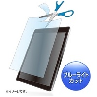 10.1インチフリーカットフィルム