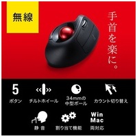 ワイヤレスエルゴトラックボール_選択画像02