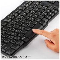 PS/2キーボード SKB-L1BKN_選択画像04
