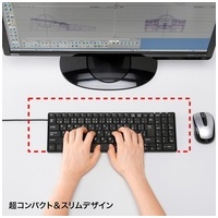 USBスリムキーボード SKB-SL17BKN_選択画像03
