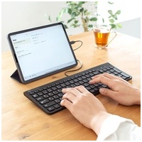 USB Type-Cスリムキーボード SKB-SL31CBK_選択画像02