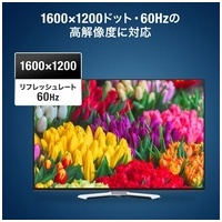 ディスプレイ切替器 DVI24pin用 SW-EDV2N2_選択画像03