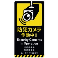 注意喚起ステッカー 防犯カメラ24-556
