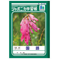 国語　ＪＬ－１３　１５行