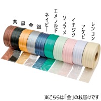 ニュー・スズランテープ　金20861