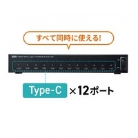 USB2.0 Type-C 12ポート USB-2THCS12N_選択画像04