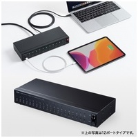 USB2.0 Type-C 20ポート USB-2THCS20N_選択画像03