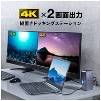 Type-Cドッキングステーション Type-CVDK12_選択画像02