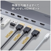 Type-Cドッキングステーション Type-CVDK13_選択画像03
