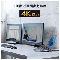 Type-Cドッキングステーション Type-CVDK13_選択画像04